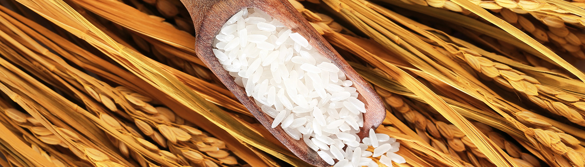 Betway·必威(西汉姆联)官方网站-Official website